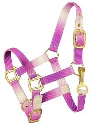 Showman Premium nylon Pony sized ombre halter with nickel plated hardware #4